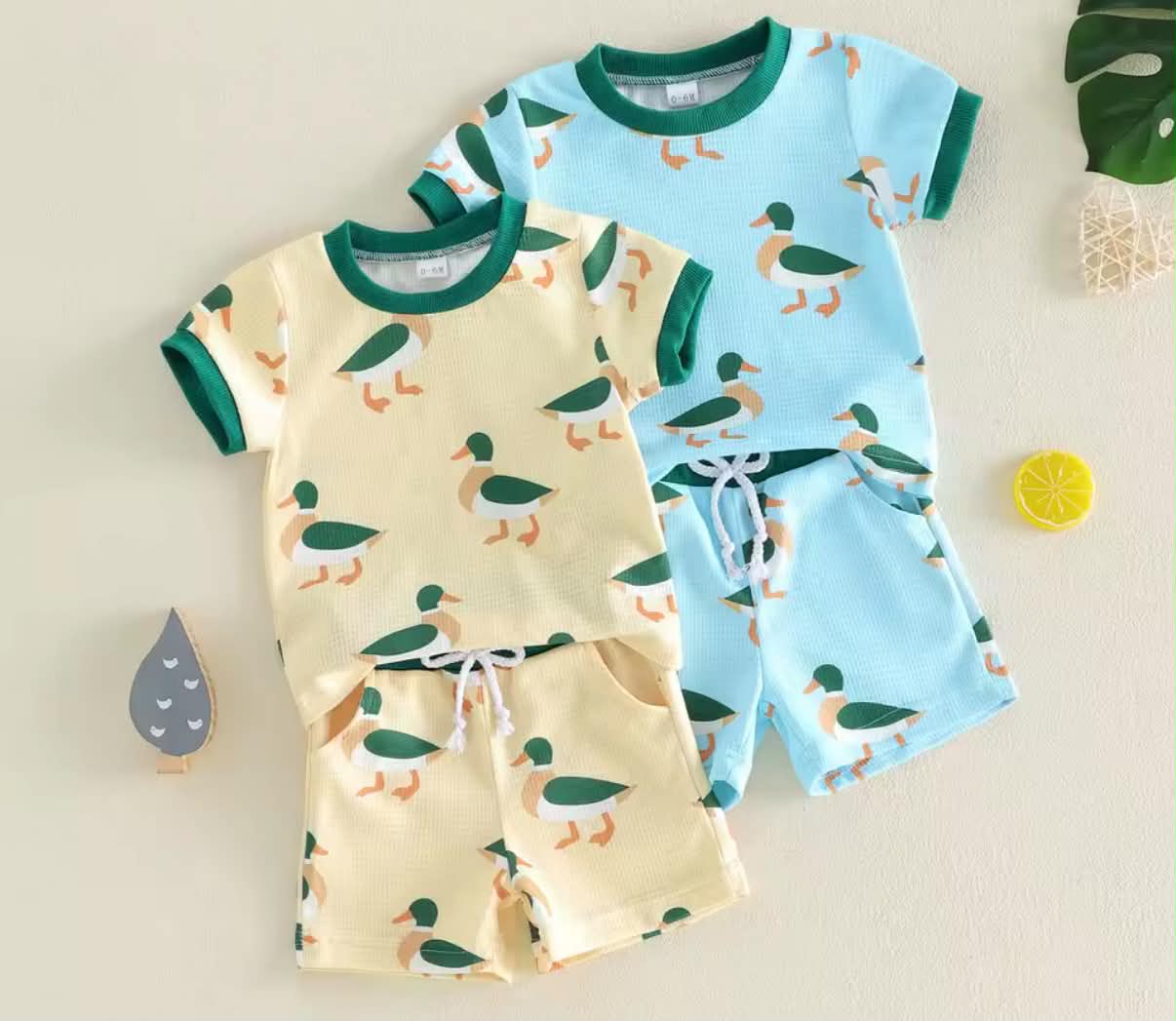 PREORDER: Mallard Duck set  5.18.26
