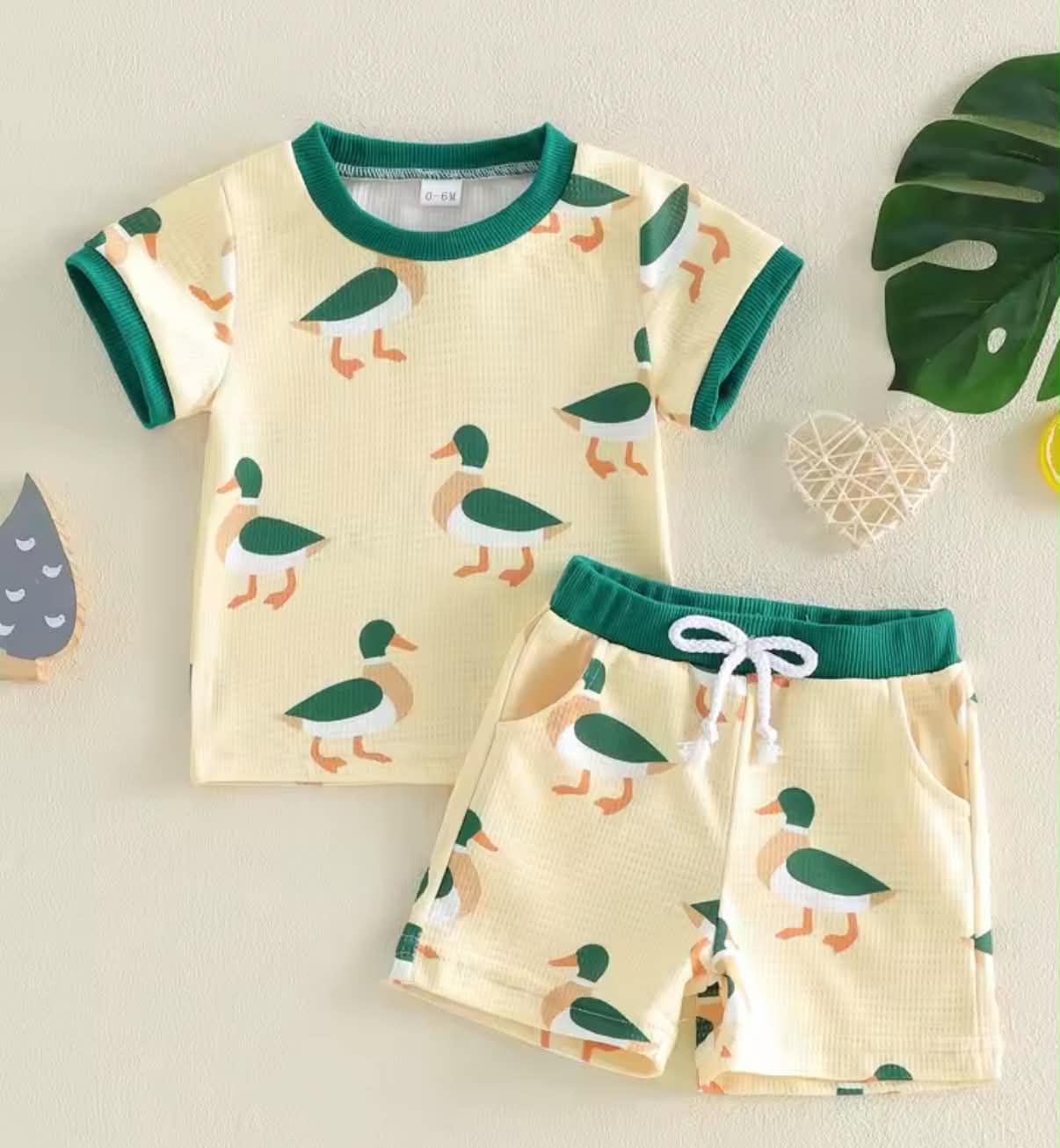 PREORDER: Mallard Duck set  5.18.26